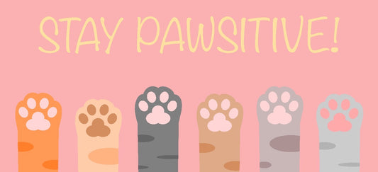 Stay Pawsitive Deskmat